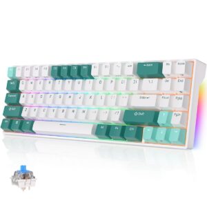 Royal Kludge RK71 TKL Water Green Mechanical Keyboard-Blue switch- Wired,Bluetooth.Wireless 2.4-Arabic English