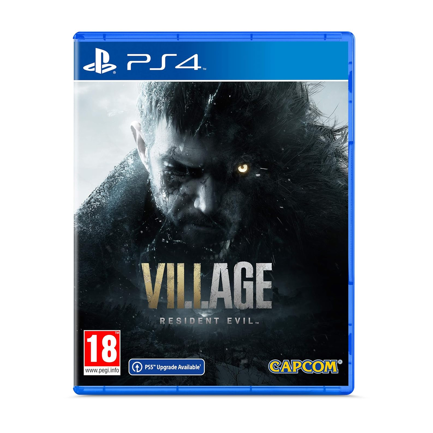 PS4 Village Resident Evil Game
