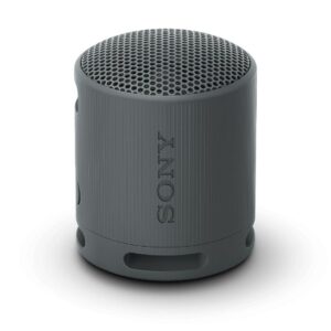 SONY XB100 Compact Bluetooth Wireless Speaker (Black, Orange)