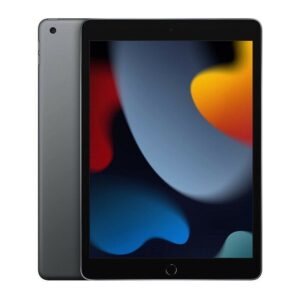 Apple iPad 256GB 9th Genaration WIFI-Apple Ipad 256GB Grey