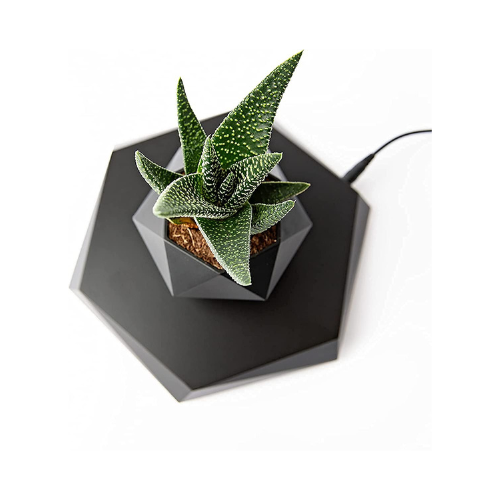 HCNT Floating Plant Pot With Magnetic Levitation Technology with 360 Degree Sunlight Exposure - Image 3