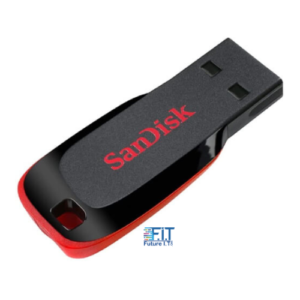 Sandisk Cruzer Blade 16GB Flash Drive